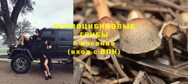 мескалин Богородск