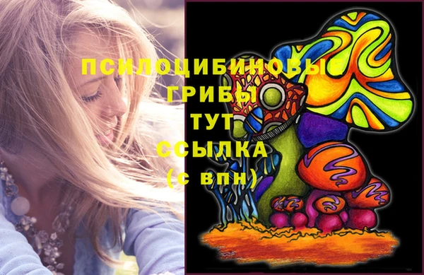 ешки Богородицк