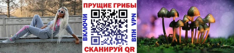 Купить закладки  Нарьян-Мар  Галлюциногенные грибы Magic Shrooms 